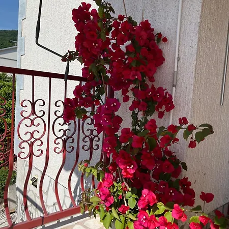 House Marica Apartment *