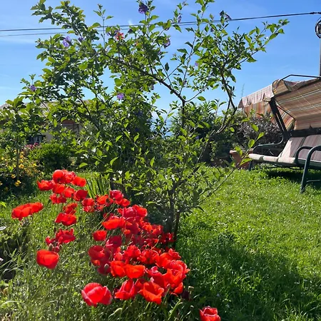 Apartment House Marica *