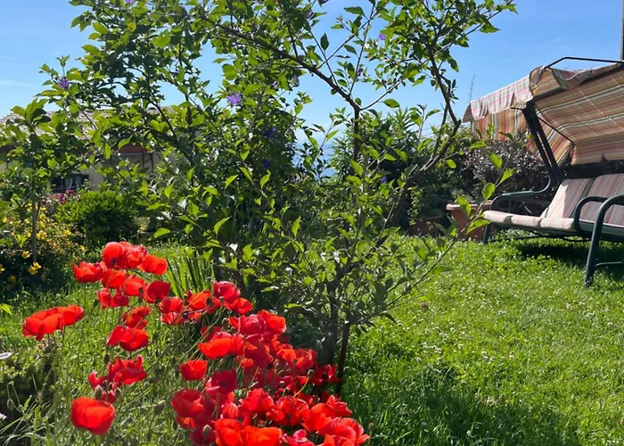 Apartament House Marica *