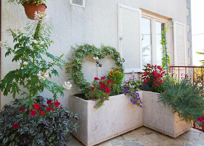 Apartament House Marica *